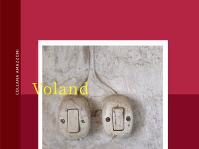 Mosche (recensione libro)