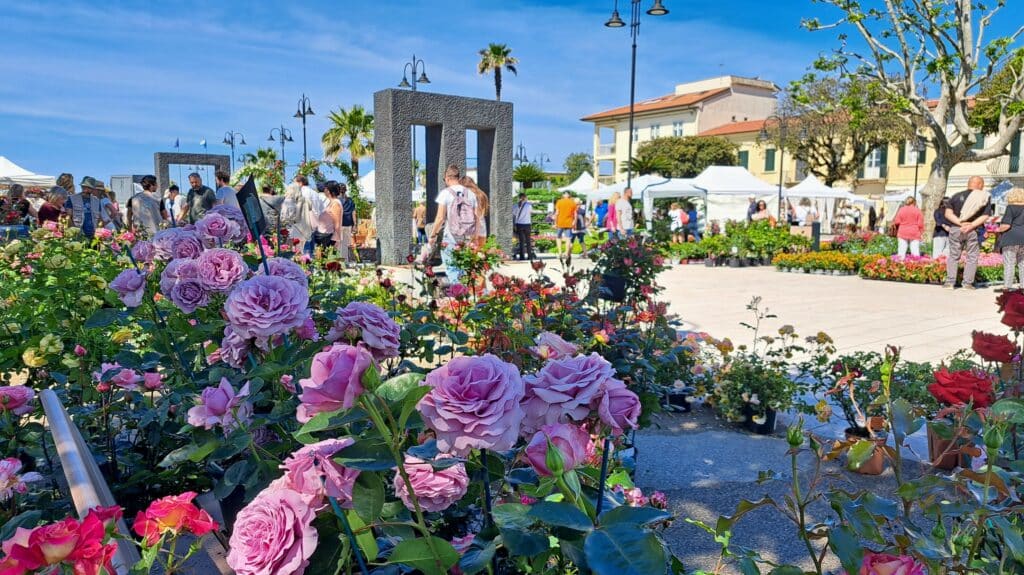 marina in fiore 5