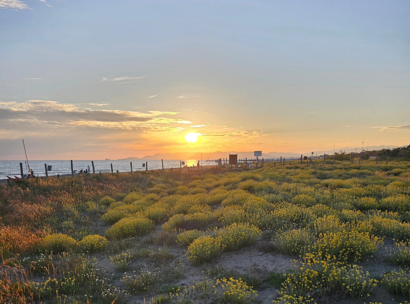 tramonto alle dune oasi wwf forte dei marmi