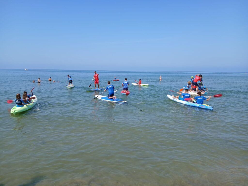 surf 1