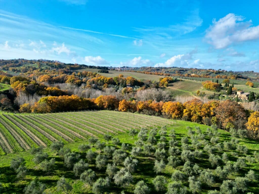 Foto di Paul Sebastian Saliba su Unsplash