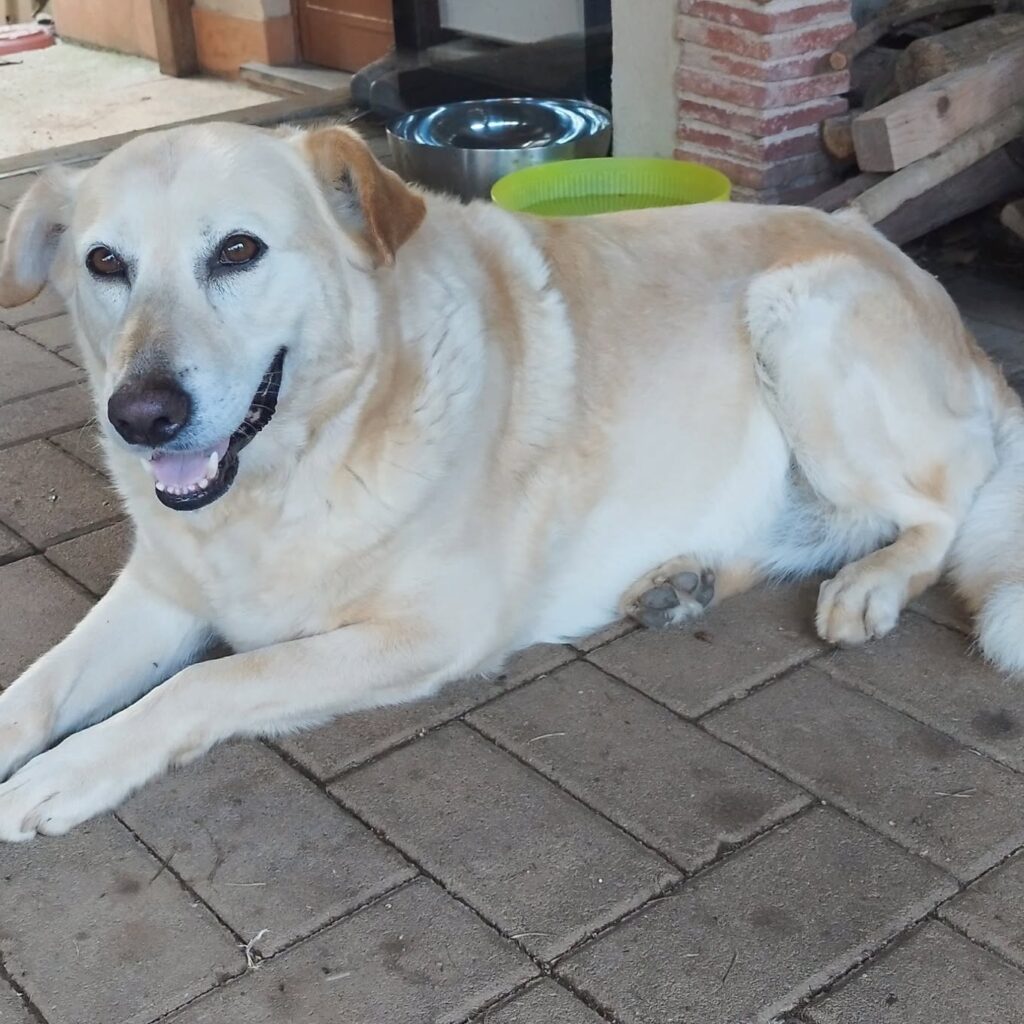 stella e luna