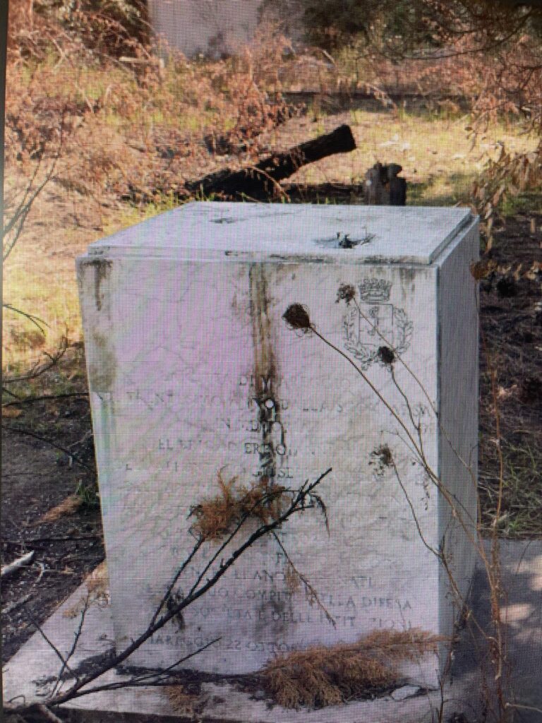 9864df93 1662 488e 89ef 13cc5b53ca8b